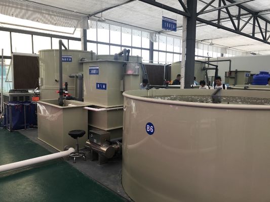 PP Aquaculture Indoor/Outdoor Ras Rotary Drum Filter for Fish Farming/Pond PP Material