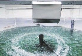 TPAF01 Automatic Fish Feeder for Aquaculture in Recirculating Pool Water System